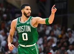 阿瑙托维奇不是在中超踢过球吗