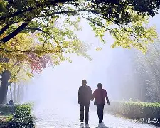 这也行？风云突变里昂清晨豪取连胜风云突变拜仁慕尼黑今夜遗憾出局，密尔沃基雄鹿强势反弹备战足总杯